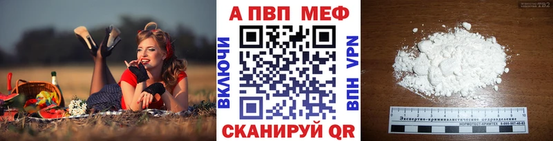 APVP СК  Ершов 