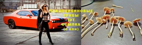 таблы Дмитров